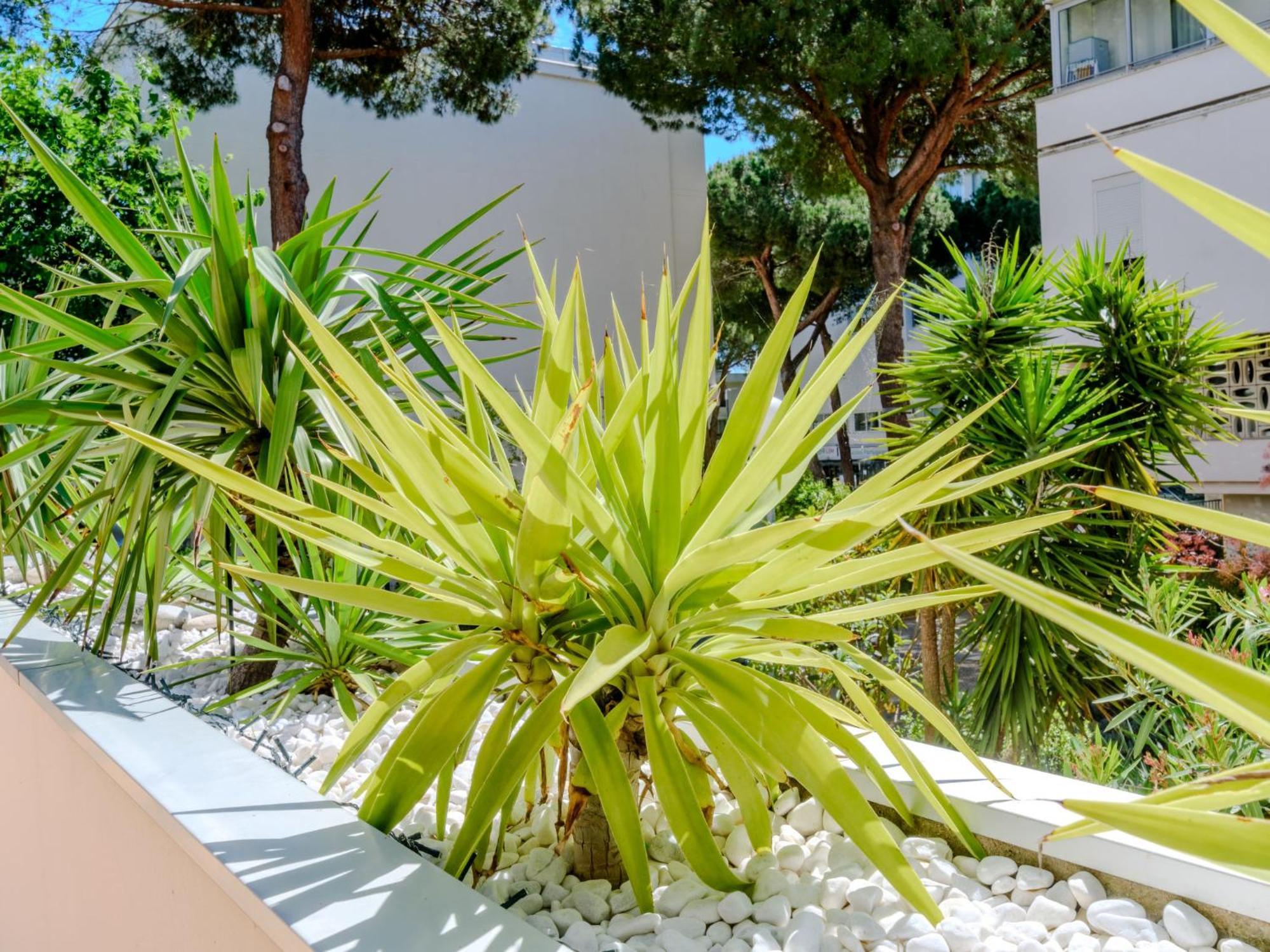Apartment Antinea-4 By Interhome La Grande Motte Ngoại thất bức ảnh